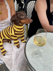 Nouveauté Printemps 2026 : Vêtements pour chiens en gros, Pulls en coton personnalisés et tendance pour toutes les tailles, Vêtements haut <span class=keywords><strong>de</strong></span> gamme pour teckels - Product Image 4