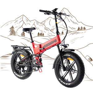 Vélo électrique à pneus larges 48V 750W 20 pouces 4.0 avec frein à disque hydraulique, tout-terrain, Ebike OEM, pour neige, plage, sable, adultes, EN15194 CE - Product Image 2