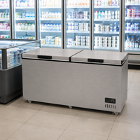 Réfrigérateur horizontal commercial, congélateur coffre à refroidissement direct, 2 portes, affichage numérique, 220V-240V, pour usage en boulangerie