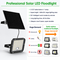 Faro LED Solare ad Alta Luminosità 160LM/W, Alloggiamento in ABS, Impermeabile IP65, Batteria LiFePO4 per Giardino, Cortile, Muro, Lampada da Esterno