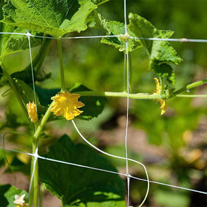 Filet treillis HDPE pour plantes grimpantes-Maille de soutien robuste pour concombre, tomate, pois et filet pour plantes de jardin - Product Image 3
