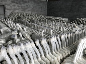 เครื่องฟอกไอเสียสำหรับ <span class=keywords><strong>Nissan</strong></span> <span class=keywords><strong>Terra</strong></span> - Product Image 4