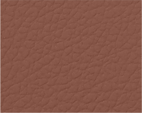 MB-08 Rudtic Brown 18-1238 TPG