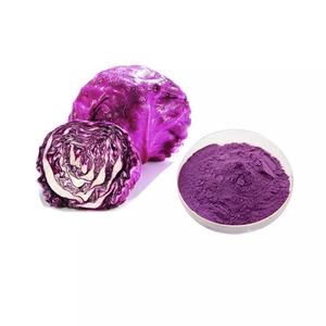 ODM/OEM Hochwertiger 100% reiner Pflanzen extrakt 5% Anthocyanin 10:1 Rotkohl pulver extrakt - Product Image 1