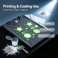 Pigment photoluminescent en gros, phosphore absorbant la lumière, poudre qui brille dans le noir
