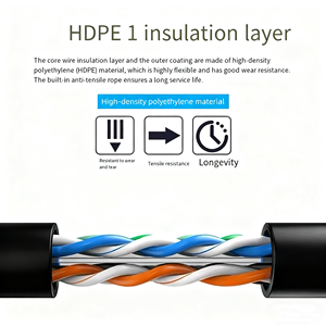 สายเคเบิลเครือข่าย DENIXI Cat6 <span class=keywords><strong>UTP</strong></span>/FTP แบบมีฉนวนป้องกัน สาย CCA แบบตัน 8 แกน ขนาด 23/24AWG ความยาว 100-500 เมตร สำหรับใช้งานภายในอาคาร รองรับความเร็วสูง 10G สำหรับบ้าน/สำนักงาน/อินเทอร์เน็ต - Product Image 4