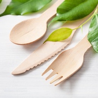 Cuillères et fourchettes jetables écologiques sans BPA, personnalisées pour les fêtes, en bois de bouleau naturel, biodégradables, emballées individuellement