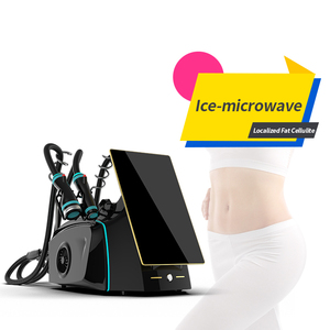 Instrumento de Modelado Corporal por Microondas de 2.45Ghz Onda, Quema Grasa Abdominal, Pérdida de Peso, Adelgazamiento, Escultura Corporal - Product Image 5