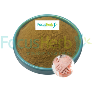 FocusHerb CAS 152-95-4 Extracto de Sophora Japonica 20% Sophoricoside en Polvo - Product Image 2