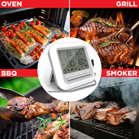 Pantalla Digital Inteligente para Horno de Pizza, Termómetro de Alimentos Líquidos con Dos Sondas de Acero Inoxidable para Barbacoa Bimetal, Horno de Bolsillo