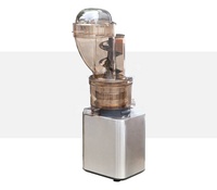 Presse-fruits entiers à large goulot, extracteur de jus à froid à mastication lente pour fruits mous et juteux, carottes, avec moteur