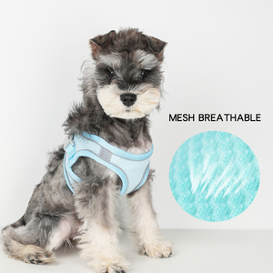 Jenis rompi Harness hewan peliharaan Mesh bernapas anjing kucing Harness tali traksi hewan peliharaan tali dada belakang - Product Image 4
