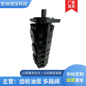 Pompe à huile hydraulique triple Shengzhou Hydraulics CBGJ505032 pour engins de forage et machines de construction en fonte - Product Image 3