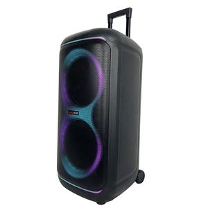 Enceinte Karaoké Portable Double 10 Pouces 60W avec Lumières LED RGB, Prise en Charge Micro Sans Fil 5.3 TF/USB, Étanchéité IPX2 pour Extérieur - Product Image 2