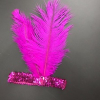 Diadema con Lentejuelas Teñidas y Plumas de Gallina para Accesorios de Escenario Infantiles, Viajes y Estilo Étnico Indio