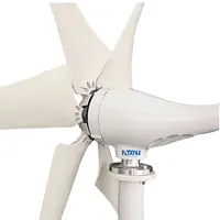 FLTXNY sıcak satış kalıcı mıknatıslı jeneratör rüzgar türbini açık mikro rüzgar türbini elektrik türbini