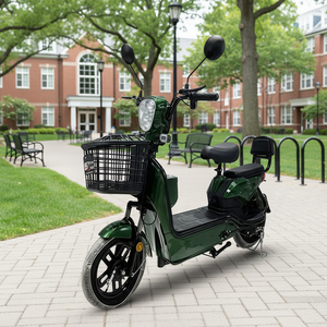 Bicicleta Eléctrica de Montaña, Ebike de 350W/1000W 48V, Batería de Plomo-Ácido Electrónica de Largo Alcance - Product Image 1