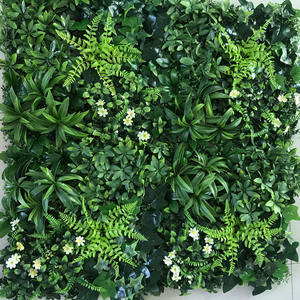 Piante naturali arte della parete vere piante con felci esotiche-decorazioni verdi per portare la natura nella tua casa e nello spazio di lavoro-piante da ufficio - Product Image 5