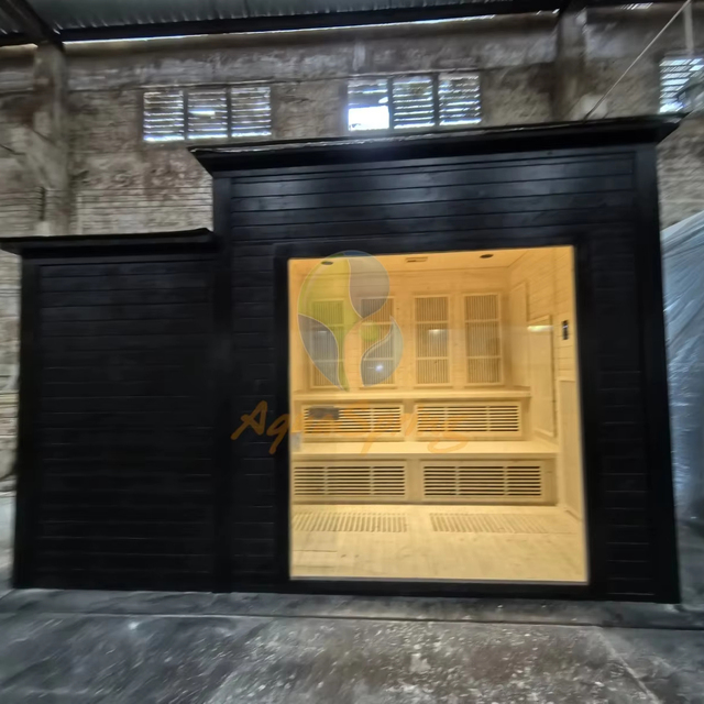 Modern Multi-function Customizable in Wood Sauna Room
