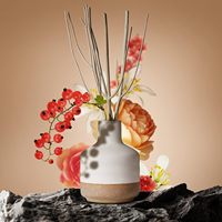 Mescente Vente en gros Bâtonnets de rotin de luxe personnalisés Ensembles de diffuseur de roseaux de parfum avec boîtes d'emballage