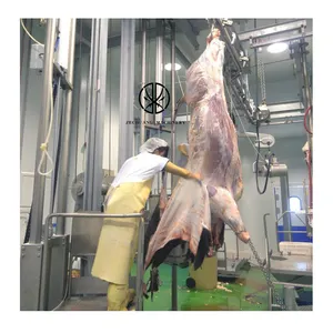 Globale Halal Food Kuh schlachthof Fabrik Design Rotary Automatic Skinn ing Machine für Buffalo Slaughter ing Equipment