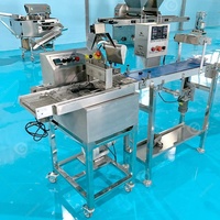 Petit manuel Mini 8kg barre de chocolat 600 Mm moule trempage faire tempérer Enrobe moules de fusion Machine à roue