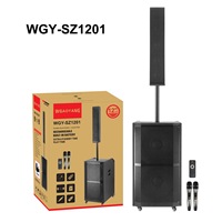 WGY-SZ1201 Altavoz Profesional de Alta Potencia con Bajos Estéreo, Altavoz Inalámbrico de Madera para Fiestas, Karaoke, Micrófono, Sistema de Sonido, Altavoz con Ruedas