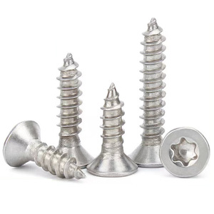 CSK Vis autotaraudeuse <span class=keywords><strong>à</strong></span> tête plate Torx M2M3M4M5M6 Vis <span class=keywords><strong>à</strong></span> bois - Product Image 5