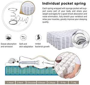 Colchones <strong>Mattress</strong> in Box <strong>Roll</strong> up <strong>Roll</strong> <strong>Out</strong> Bed Beds <strong>Mattress</strong> Single Double Camping - Product Image 4