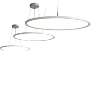 Luminaire suspendu à anneau LED, profil en aluminium circulaire, lampe à anneau suspendue pour bureau, hôtel, éclairage intérieur commercial