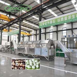 自動カウントウズラの卵の加工ライン10pcs/50pcs/100pcs - Product Image 2