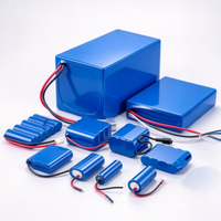 Batteries rechargeables Li-Ion 18650/21700 OEM ODM en gros, packs de batteries 20Ah 100Ah 3.7V-48V, cellules de qualité A pour véhicules électriques