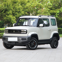 2024 2025 Nouvelle énergie Véhicule électrique Wuling Baojun Yep EV Mini SUV