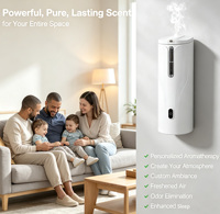 Diffuseur d'arômes commercial 100 ml, diffuseur d'huiles essentielles sans eau pour hôtel et maison, diffuseur de parfum intelligent USB OEM