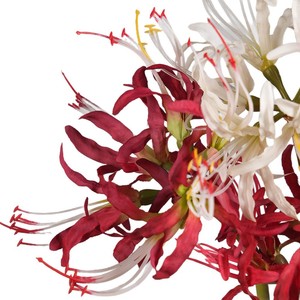 Planta Artificial de Lirio Araña Rojo Greenway, Pétalos de PVC, Arreglo Floral Decorativo para Días Festivos y Festivales - Product Image 5