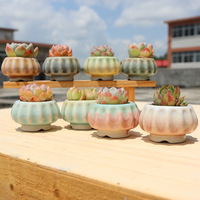 Nouveaux pots à plantes succulentes en céramique écologiques en forme de citrouille, créatifs, uniques, avec glaçure craquelée arc-en-ciel, mignons petits pots