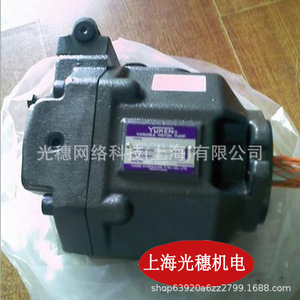 ปั๊มลูกสูบคอมพาส รุ่น 50T-36-FR 50T-17-FR 50T-23-FR ปั๊มไฮดรอลิกเหล็กหล่อ ขับเคลื่อนด้วยไฟฟ้า - Product Image 3