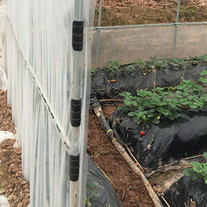 Kunci jaring pengencang plastik rumah kaca klip jepret klem murah aksesori rumah kaca <span class=keywords><strong>promo</strong></span> rumah kaca - Product Image 6