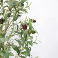 Echte Fabriek Op Maat Gemaakte Kunstmatige Olijfboom Met Volledig Fruit Multi-Size Donkergroene Faxu Oliver Boom Plastic Uv-Gecertificeerde Plant