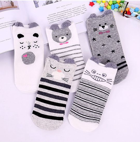 5 colors assorted