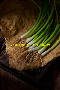 Vận Hành Dễ Dàng Rau Bina Nghiền Máy Loại Bỏ Bùn Rau/Chives Root Cắt Khô Làm Sạch Hành Tây Xanh Máy Lột Da - Product Image 6