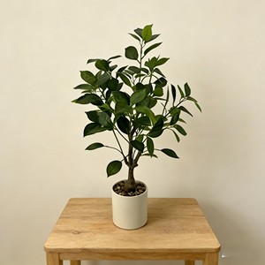<b>Artificial</b> Banyan <b>Tree</b> Highly realistic <b>Artificial</b> Banyan <b>Tree</b> - Product Image 5