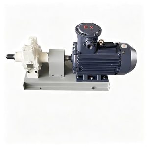 Bomba de paletas de aluminio para GLP, 750W, caudal de 680L/RPM, precisión del 0.3%, dispensador de bomba multietapa, certificación ATEX, para llenado de aceite - Product Image 2