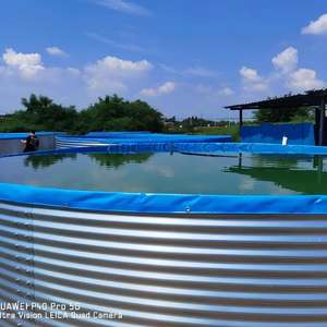 Equipo de Acuicultura Interior de la Marca YUNMA de Fábrica China, Sistema de Cultivo de Peces y Camarones con Recirculación, PVC + Acero Galvanizado en Caliente - Product Image 5