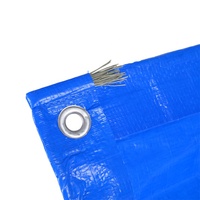 Rideau imperméable de bâche de tente de PE de 20x30 enduit argenté résistant extérieur de vente directe d'usine