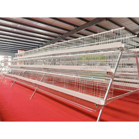 Cages automatiques de type A pour poules pondeuses - Acier galvanisé à chaud avec système de bande à fumier