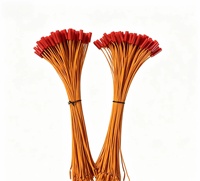 Allumeur électrique pour feux d'artifice et pétards, fil de cuivre de 0,3 m, allumette à fusible