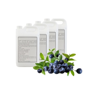 Base de boisson de vente chaude nouvelle formule de boissons gazeuses au goût de myrtille de <span class=keywords><strong>sirop</strong></span> CSD concentré SHJAYI 50 fois - Product Image 1