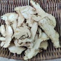 Herbe brute de qualité pharmaceutique, Angelica Sinensis, Dong Quai sauvage biologique, Remède botanique, Stock brut en gros