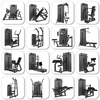 Máquina de Press de Tríceps Ajustable de Acero WENDY, Equipo de Gimnasio para Entrenamiento de Fuerza de Brazos, Directo de Fábrica
